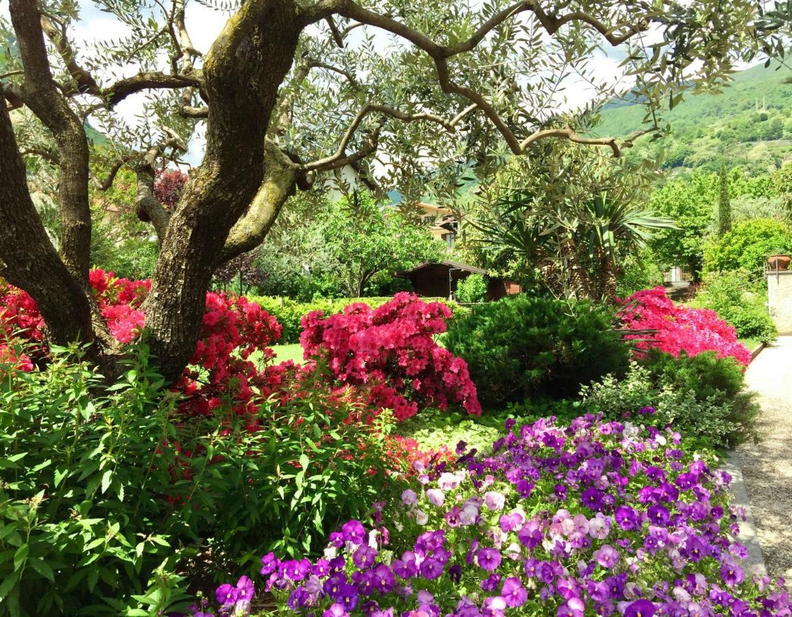 Iris 2 Lago Di Como Dongo Zewnętrze zdjęcie