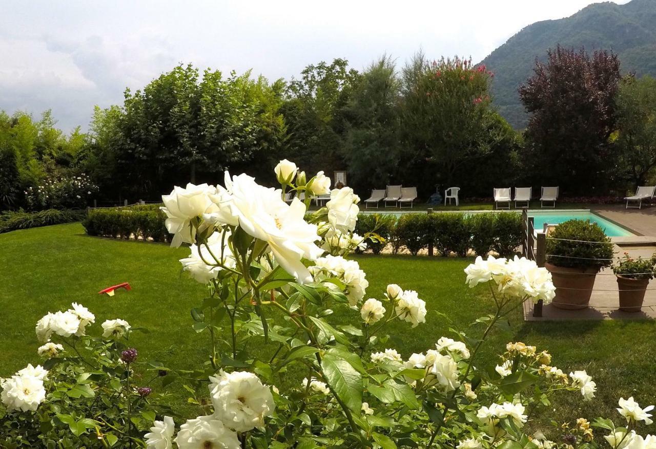 Iris 2 Lago Di Como Dongo Zewnętrze zdjęcie